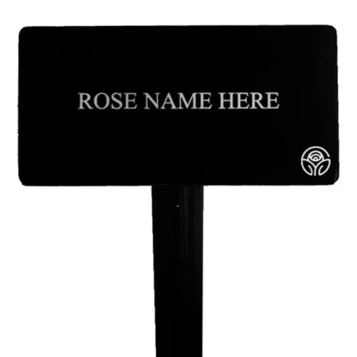 Abraham Darby® Stake