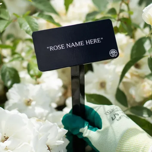 Abraham Darby® Stake
