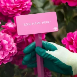 Abraham Darby® Stake
