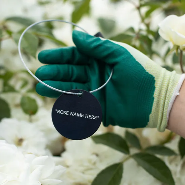 Arborose® Honeymoon Tag