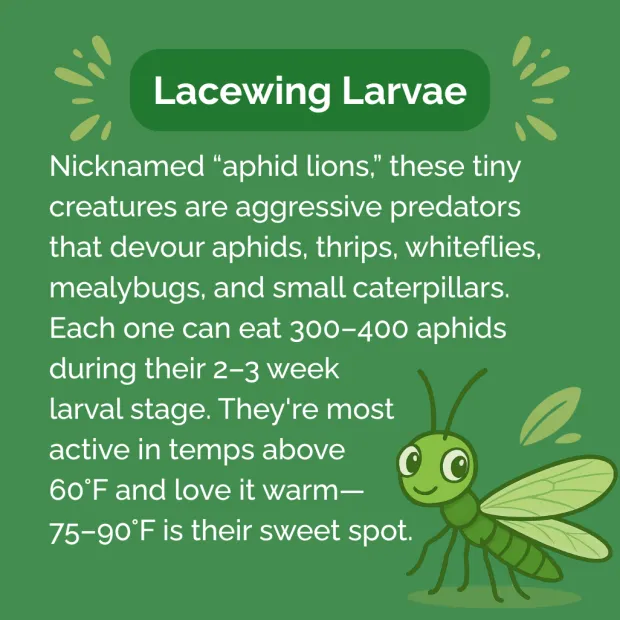 Beneficial Insect Subscription