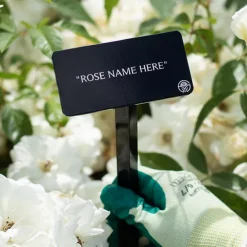White Cap Stake