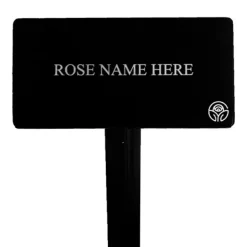 Winter Sunset Stake